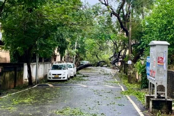 கோரத்தாண்டவம் ஆடிய மாண்டஸ் புயல் - இருவர் உயிரிழப்பு