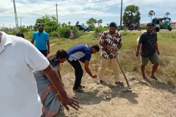 யாழ் வேலணையில் நாட்டப்பட்ட ஆயிரக்கணக்கான பனம் விதைகள்!