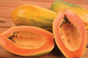 குளிர்காலத்தில் பப்பாளி பழம் சாப்பிட்டால் என்ன நடக்கும் தெரியுமா? உடனே இதை பண்ணுங்க...