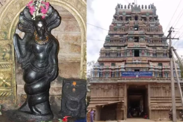 ராகு கேது தோஷம் இருப்பவர்கள் செல்லவேண்டிய கோயில்கள்