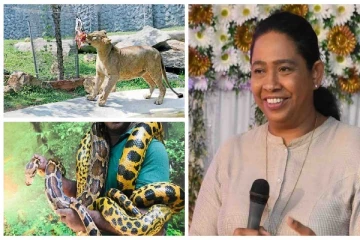 சரணாலயங்களுக்கான கட்டணங்களும் அதிகரித்தது