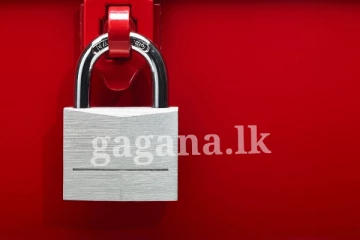 ග්‍රාම නිළධාරිවරයෙක් ජනතාවට පණුවන් ගැසූ සහල් බෙදලා..