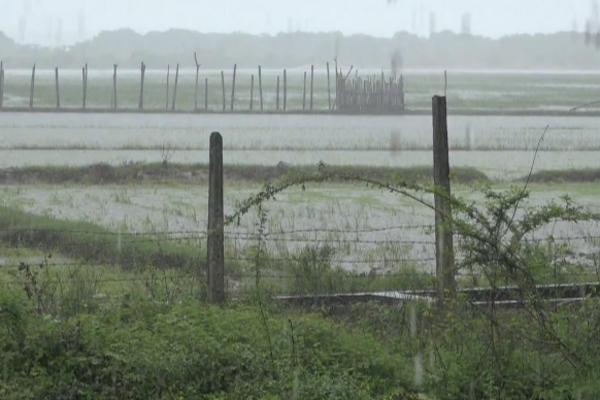 முற்றாக வெள்ளத்தில் மூழ்கிய அம்பாறையின் பிரதான வீதிகள் | Main Streets Of Ampara Flooded