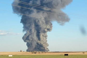 18,000 பசுக்களை கொன்ற பயங்கர விபத்து: அமெரிக்காவில் நடந்த சோக சம்பவம்