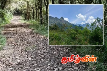 நக்கிள்ஸ் பாதுகாப்பு வனப்பகுதிக்குள் சட்டவிரோதம் : அனுப்பப்பட்ட கோரிக்கை