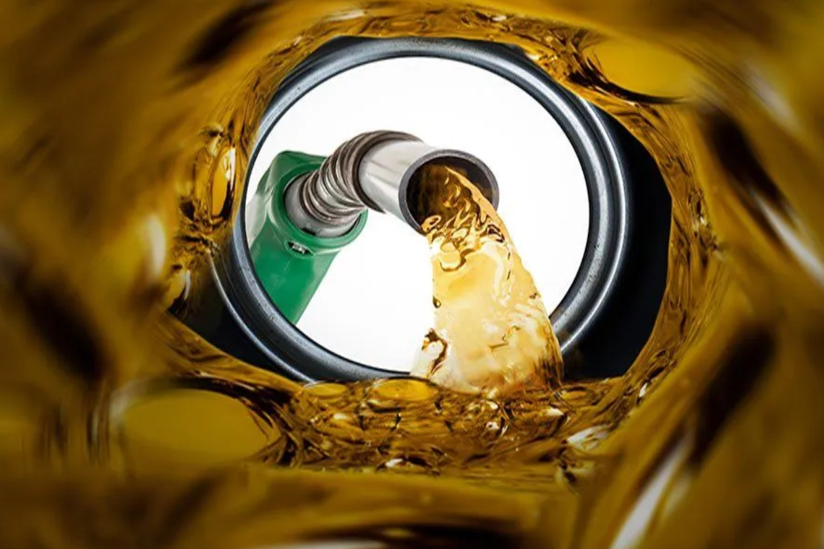 எரிபொருள் QR பிரச்சினைக்கு தீர்வு! அறிமுகப்படுத்தப்பட்டது வாட்ஸ்அப் இலக்கம் | Whatsapp Number For Qr Registration For Fuel