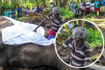 எனது உயிரை நான் இழந்துவிட்டேன்!  நெதுன்கமுவே ராஜாவின் மறைவால் துயரத்தில் ஆழ்ந்துள்ள களு மாமா(Photos)