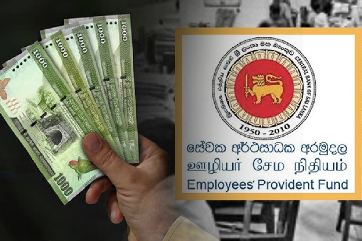 தொழில் திணைக்களத்திலிருந்து பொதுமக்களுக்கு விடுத்துள்ள விசேட அறிவித்தல் | Special Announcement Public Department Of Labor