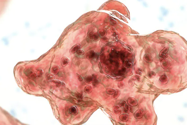 மூளையை உண்ணும் அமீபா ; ஆறு, ஏரி, குளங்களில் காத்திருக்கும் ஆபத்து | Brain Eating Amoeba Alert