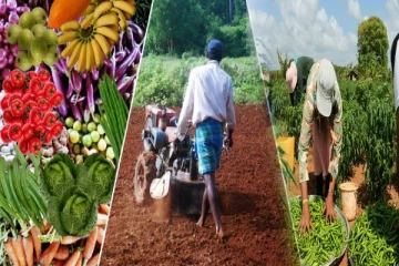 வேலைவாய்ப்பற்ற இளைஞர்களுக்கு முக்கிய அறிவிப்பு