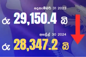 මෙරට ආර්ථිකය සම්බන්ධයෙන් සුබ ආරංචියක්... ණයවල කැපීපෙනෙන අඩුවක්...