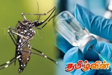 இலங்கையில் சிக்குன்குண்யா நோயை இனம் காண்பதில் சிக்கல்