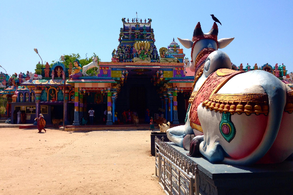 இன்று கொடியேற்றம் காணும் நயினாதீவு நாகபூசணி அம்மன் ; பக்தர்களுக்கு விடுக்கப்பட்ட அறிவிப்பு | Nainadivu Nagabhusani Amman Festival