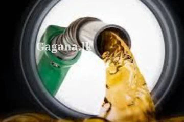 ආය අඩු වෙන එක මෙදා සැරෙ දැනෙන්නම අඩු වෙලා.. තෙල් මිලට වුණ දෙය මෙන්න..