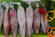 கொழுப்பை குறைக்கும் முள் இல்லாத மீன்