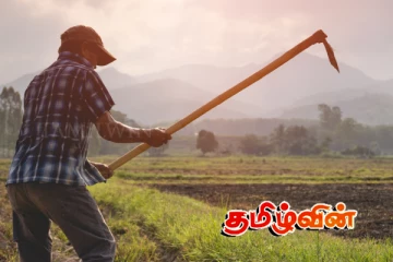 விவசாயிகளின் தீர்மானத்தால் நாட்டில் ஏற்படவுள்ள கடும் நெருக்கடி