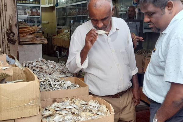 யாழ் கருவாட்டுகடைகளில் சுகாதார பரிசோதகர்கள் அதிரடி பரிசோதனை..! | Random Inspections By Public Health Inspectors