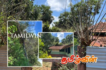 யாழில் மின்னல் தாக்கத்தினால் பலர் பாதிப்பு!