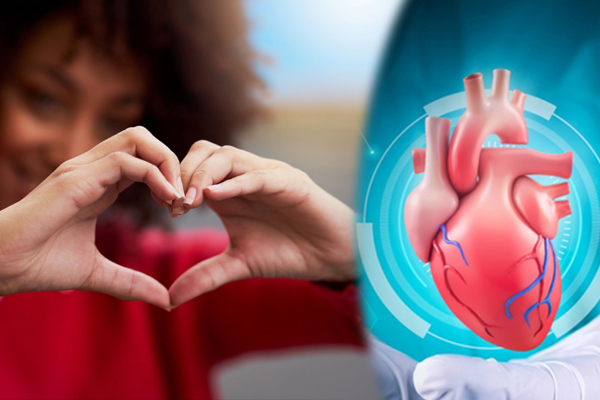 உங்களது இதயம் ஆரோக்கியமாக இருக்கின்றதா? ஆபத்தில் இருந்தால் இதுதான் அறிகுறிகள் | How To Check Your Heart Condition Healthy உங்களது இதயம் ஆரோக்கியமாக இருக்கின்றதா? ஆபத்தில் இருந்தால் இதுதான் அறிகுறிகள் | How To Check Your Heart Condition Healthy