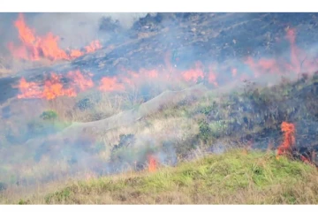 கொடைக்கானல் மலைப்பகுதியில் பயங்கர தீ - 100 கணக்கான ஏக்கர் நிலம் எரிந்து சாம்பல்