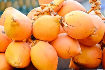 යුද්ධෙන් ලංකාවට හිතපු නැති විදිහේ ප්‍රශ්ණයක් - ලාංකිකයන් පීඩාවට