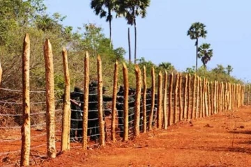 ரணிலின் தூதுவர்களான வடக்கு கிழக்கு ஆளுநர்கள் மூலம் நாசூக்காக காணி அபகரிப்பு!