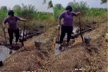 Viral Video: பாம்பை பிடிக்க இவ்வளவு வேகமா? தடுமாறினாலும் கடைசியில பாம்பை பிடிச்சிட்டாங்களே