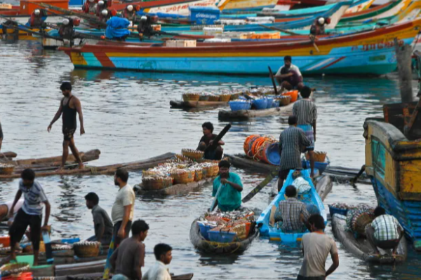 வடக்கு கடற்றொழிலாளர்களின் வாழ்வாதாரம் குறித்து முன்வைக்கப்பட்டுள்ள கோரிக்கைகள் | Raviharan Mp Requests Ramalingam Chandrasekar வடக்கு கடற்றொழிலாளர்களின் வாழ்வாதாரம் குறித்து முன்வைக்கப்பட்டுள்ள கோரிக்கைகள் | Raviharan Mp Requests Ramalingam Chandrasekar