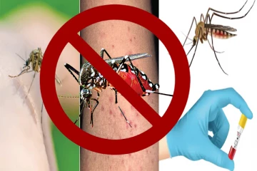 வெள்ளம் ஏற்பட்ட பகுதிகளில் டெங்கு ஒழிப்பு நடவடிக்கை