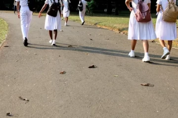 பாடசாலை மாணவி கூட்டு பாலியல் வன்கொடுமை; மாணவர்கள் கைது