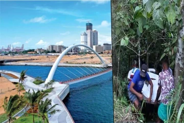 கல் குவியலுக்குள் சடலமாக கிடந்த சீனப்பிரஜை ; துறைமுக நகரில் அதிகாலையில் அரங்கேற்றப்பட்ட சம்பவம்