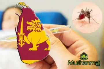 டெங்கு மற்றும் சிக்குன்குனியாவுக்கான மருந்து தொடர்பில் வெளியான முக்கிய அறிவிப்பு