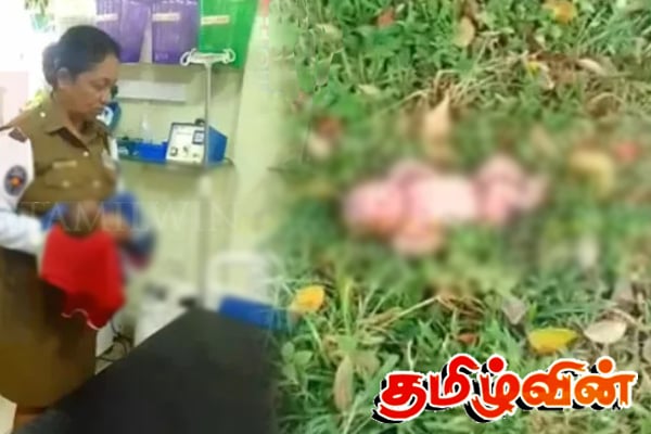 பிறந்து 2 நாட்களான சிசுவை வயலில் வீசி விட்டுச் சென்ற தாய் | Baby Had Been Abandoned Near A Paddy Field
