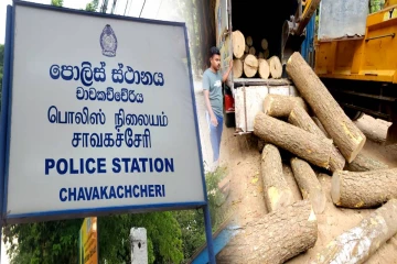 10 இலட்சம் பெறுமதியான மரக்குற்றிகளை கடத்தியவர் கைது - தீவிரப்படுத்தப்படும் சோதனை நடவடிக்கை