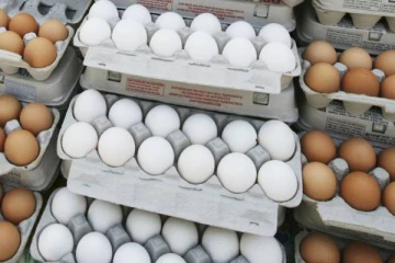 முட்டை இறக்குமதியில் மீண்டும் கவனம் செலுத்த தயாராகும் அரசாங்கம்