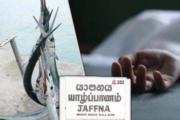 யாழில் முரல்மீன் தாக்குதலுக்கு இலக்காகி கடற்றொழிலாளர் பரிதாப மரணம்