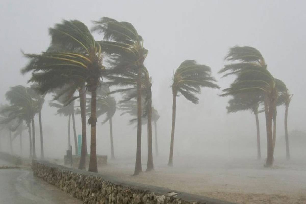 அடுத்த 36 மணித்தியாலங்களுக்கான வானிலை முன்னறிவிப்பு | Weather Forecast For The Next 36 Hours