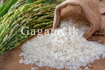 කීරි සම්බා ඇතුළු සියලුම සහල් වල මිලෙහි සිදු වූ වෙනස.