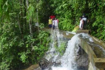 வனப்பகுதிக்குள் பெண்கள் இருவர் மாயம்; தேடும் பணி தீவிரம்