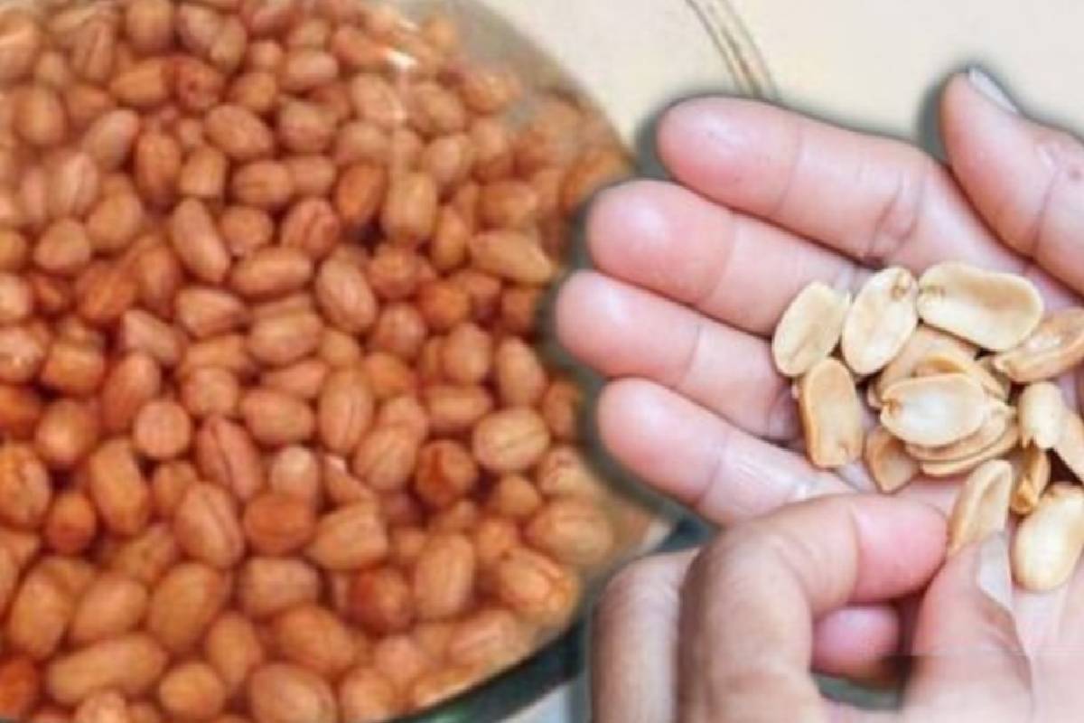 தினமும் ஒரு கைப்பிடி வேர்க்கடலை… வியக்கவைக்கும் ஆரோக்கிய நன்மைகள்! | Effect Of Peanut Consumption Every Day தினமும் ஒரு கைப்பிடி வேர்க்கடலை… வியக்கவைக்கும் ஆரோக்கிய நன்மைகள்! | Effect Of Peanut Consumption Every Day