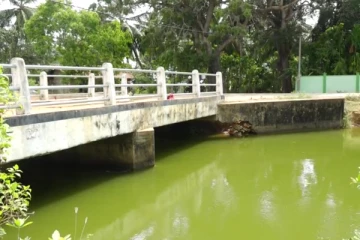 ஆபத்தான பாலம் தொடர்பில் கிளிநொச்சி மக்கள் முன்வைத்துள்ள கோரிக்கை (Photos)
