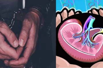 குறைந்த விலைக்கு கிட்னி வாங்கி விற்பனை - என்ன கொடுமை இது?