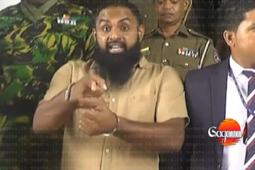 හරක් කටාව බලා ගන්න මාසෙට රුපියල් කෝටියක් වැයවේ - ආරක්ෂාවටම නිලධාරීන් 87ක්