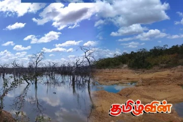 ஊற்றுப்புலம் குளம் தொடர்பில் விவசாயிகள் விடுத்துள்ள கோரிக்கை