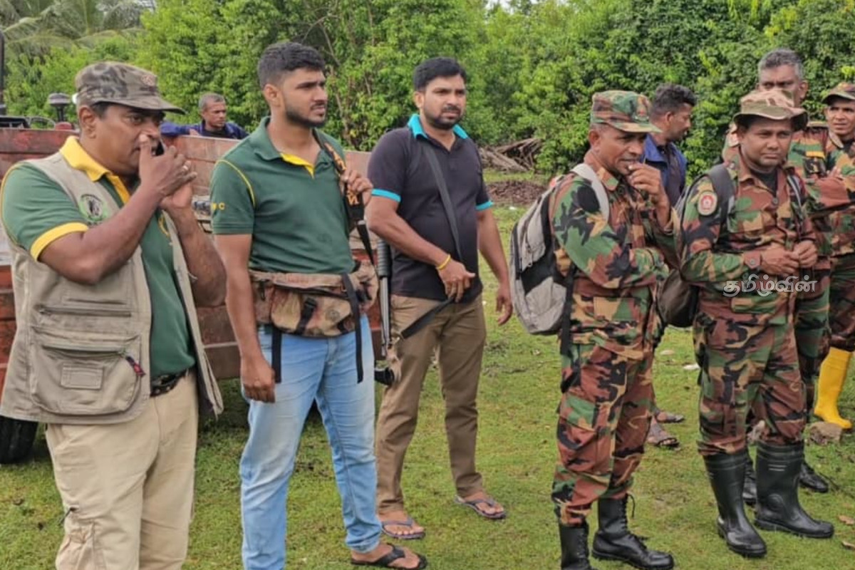மட்டக்களப்பு- மாந்தீவு ஆற்று பகுதியில் தரித்து நிற்கும் காட்டு யானைகள் | Wild Elephants Standing In The Mantheevu River