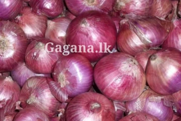 ලොකු ළූනු ගැන එකපාරට ලොකුවටම ගත්ත තීරණය මෙන්න..