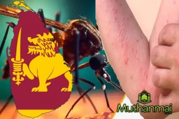 நாட்டில் மீண்டும் அதிகரிக்கும் நோய்த்தாக்கம்! மக்களுக்கு விடுக்கப்பட்டுள்ள எச்சரிக்கை