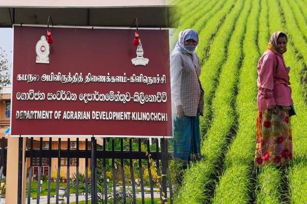 கிளிநொச்சி கமநல சேவை நிலையத்தின் கீழ் உள்ள அமைப்புகளுக்கு புதிய நிர்வாகம் தேவை! | Kilinochchi Agricultural Service Center