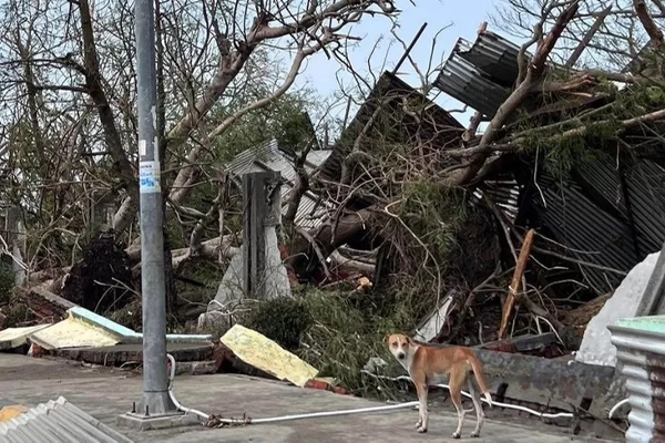13,000 வீடுகளை சூறையாடிய மோக்கா புயல்! பலர் படுகாயம் | Cyclone Mocha Mynamar Bengal Floods Houses Damaged