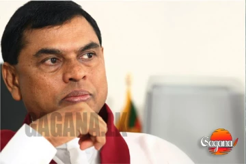 පොහොට්ටු පුප්පන්න බැසිල් යලි එයි